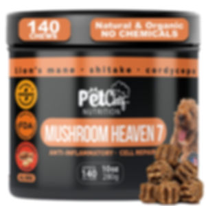 Mushroom Heaven 7