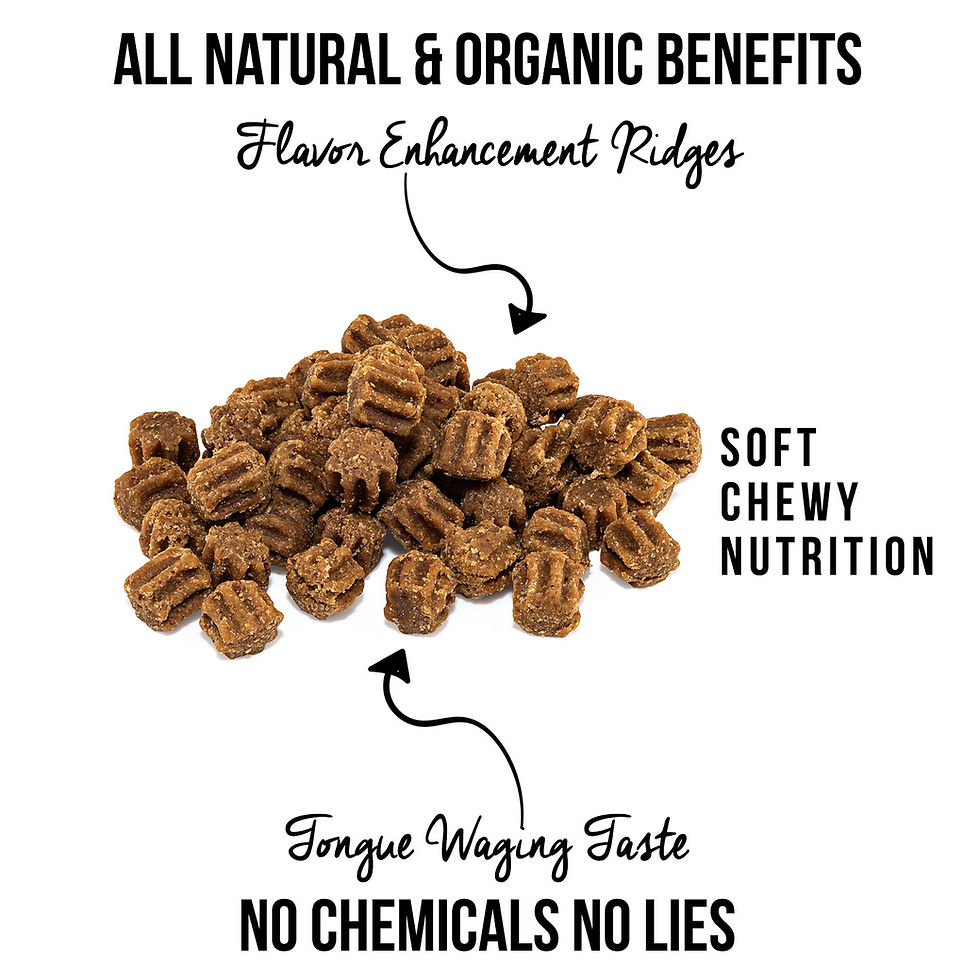 Thumbnail: Pet Chef Gut & Digestion Health. Multiple Probiotics + Enzyme Blend + Pumpkin