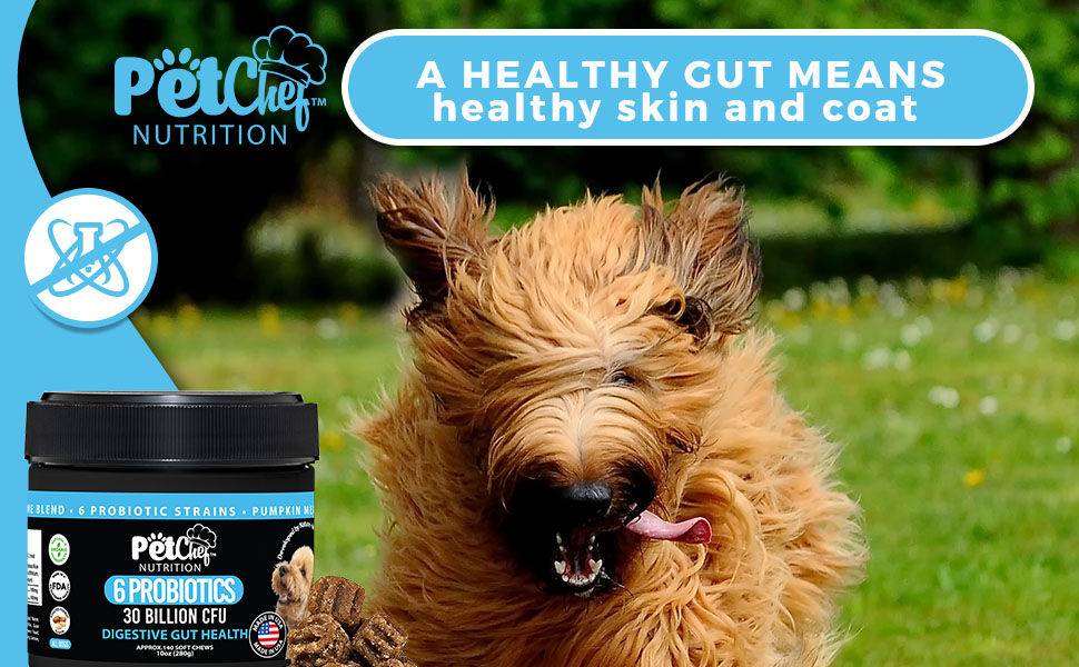 Thumbnail: Pet Chef Gut & Digestion Health. Multiple Probiotics + Enzyme Blend + Pumpkin