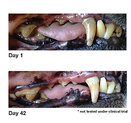 Private label dog dental treats