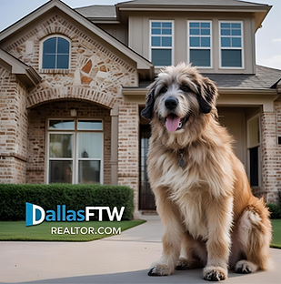 DFW Realtor, DFW Real Estate, DFW Real Estate Agent