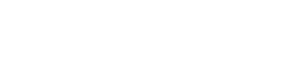 Cloudselect logo.png