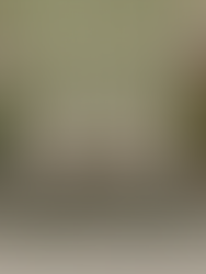 샹그릴라 호텔의 최상위 브랜드, 샹그릴라 시그니처