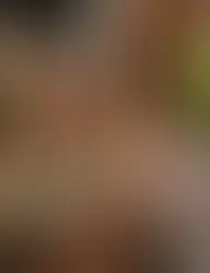 최고의 호텔 스파의 평가 기준과 Banyan Tree Macau