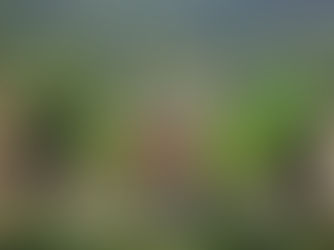 발리 만다파, 그리고 리츠칼튼 리저브