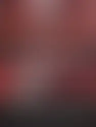 미쉐린 키 본격 해부