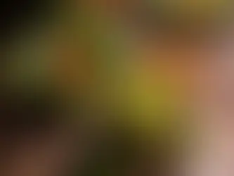 Lamdre에서 생각한 것들: 채식 다이닝의 설득력이란