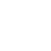icons8-bitcoin-100.png