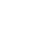 icons8-development-100 (1).png