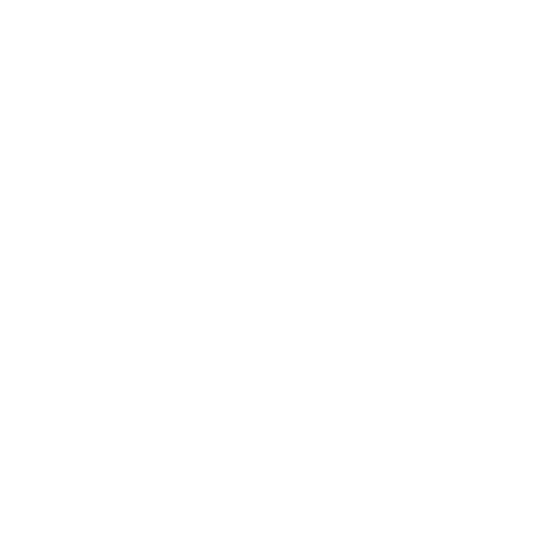 icons8-tiktok-500 (2).png