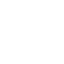 icons8-shield-64.png