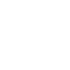 icons8-cryptocurrency-100.png