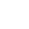 icons8-lock-100.png