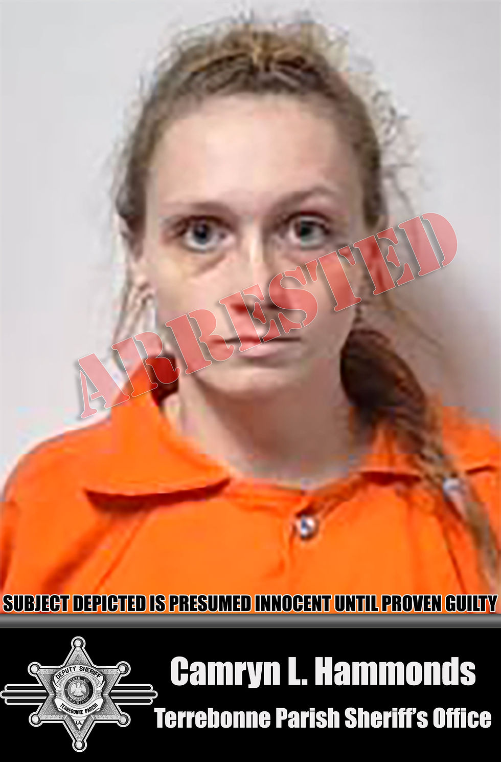 Narcotics Investigation Leads to Four Arrests and Multiple Drug Seizures