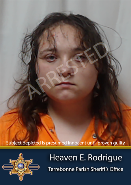 Sheriff's Office Cracks Down on Child Sex Abuse with Arrest of 18-Year-Old