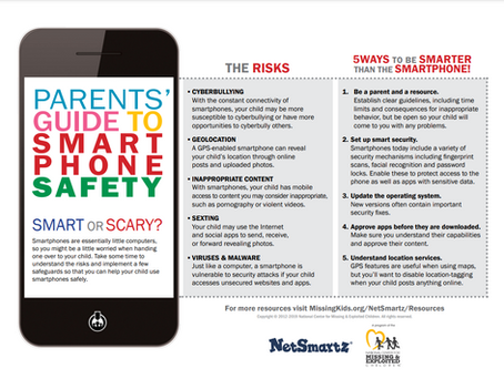 UPDATE : Juvenile Safety Initiative continued...