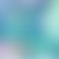 2024년 상반기 공동학술대회 <국제분쟁과 현 국가질서: 인권과 인도주의의 위기와 과제>