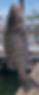 37541AC7-CAD2-456F-9639-7F481FD7522B_edited_edited_edited_edited_edited_edited_edited.jpg