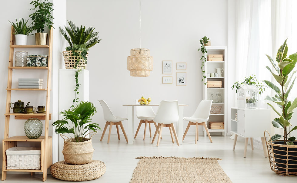 Modern Dining Room_edited.jpg