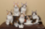 Famous Chefs