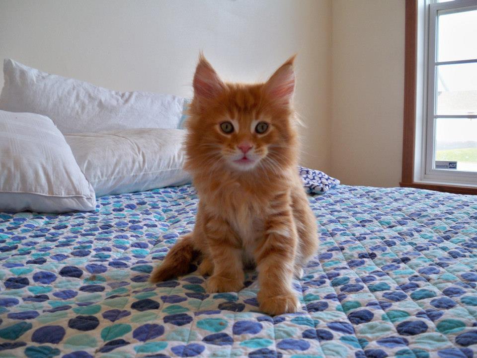 Tereasa's First Visit