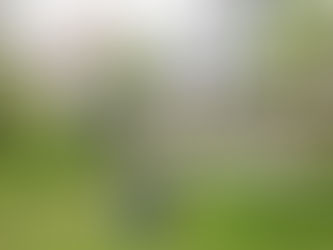 How Covid-19 will Affect the Classroom and Beyond