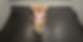 Untitled Design - 1.png