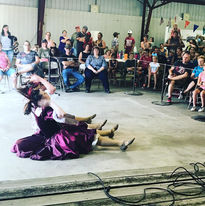 Sauk County Fair