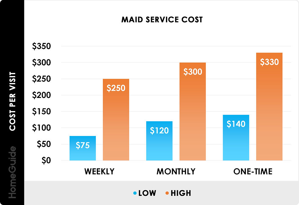 Professional maid cleaning a Long Island home)