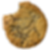 Chocolate Chip Cookie