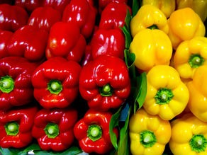 やっぱりビタミンCは摂取した方がいい件について【文京区白山・千石・春日のパーソナルジム VaLerioLuana】