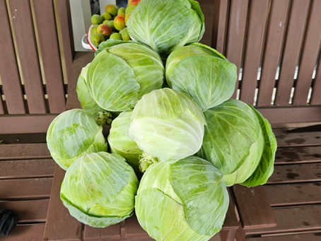 【2026年4月】のお知らせとご連絡|文京区白山のパーソナルジムVaLerio Luana