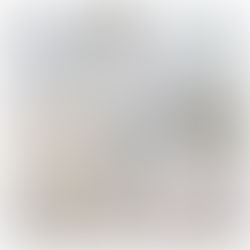 リレーエッセイその２が掲載されました．