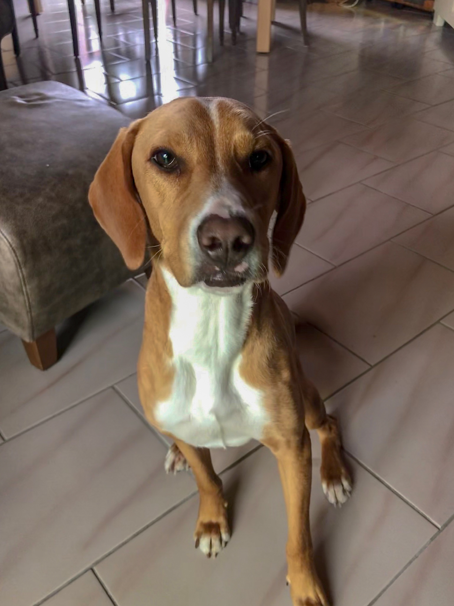Oskar
