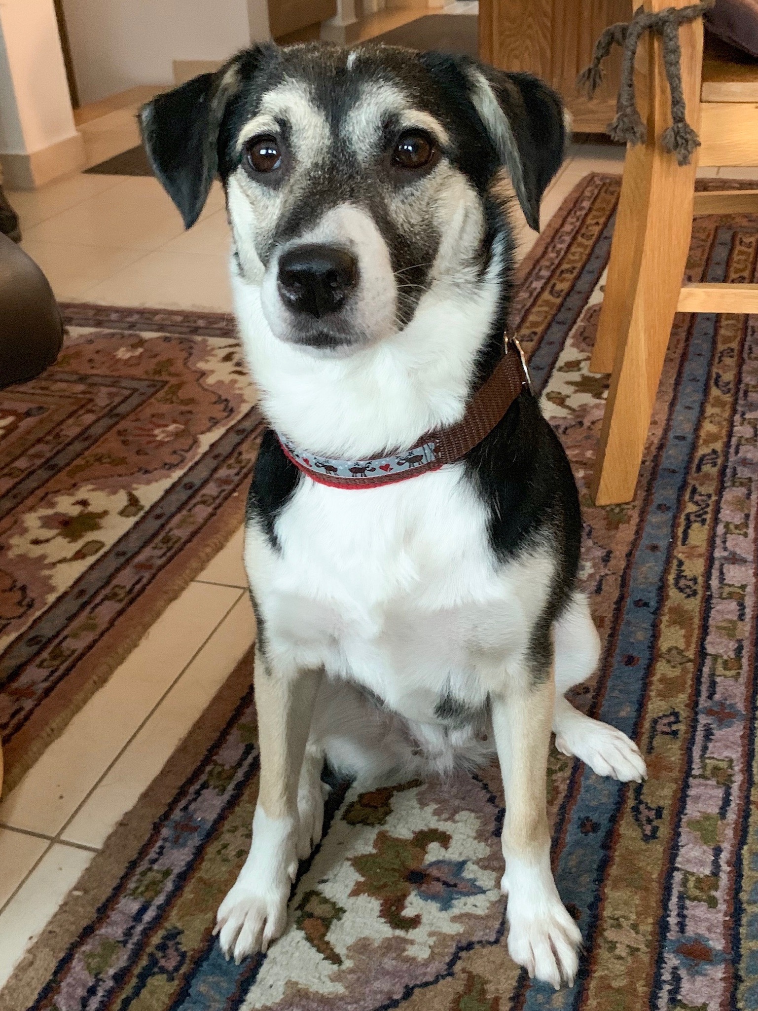 Gina