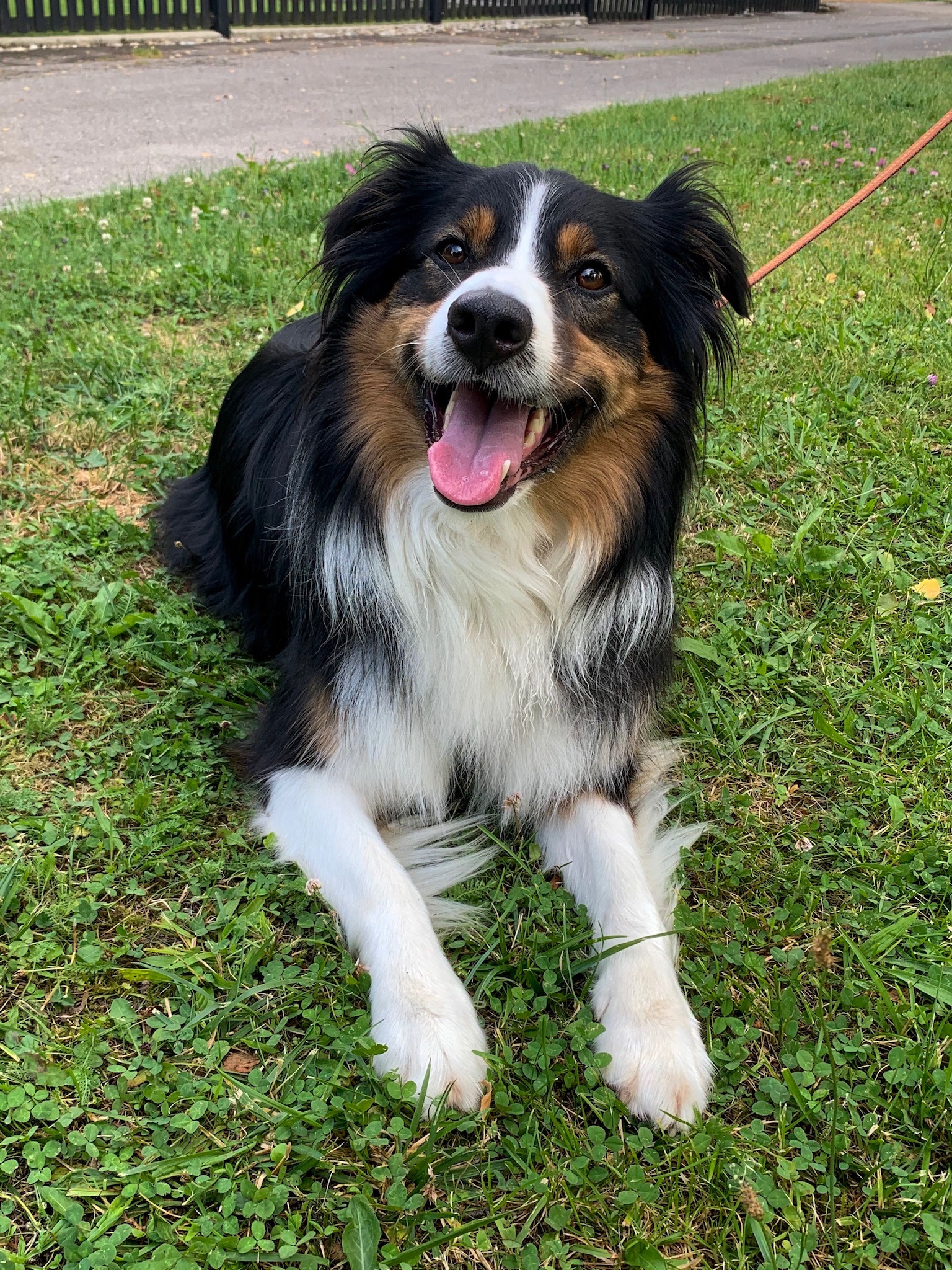 Balu