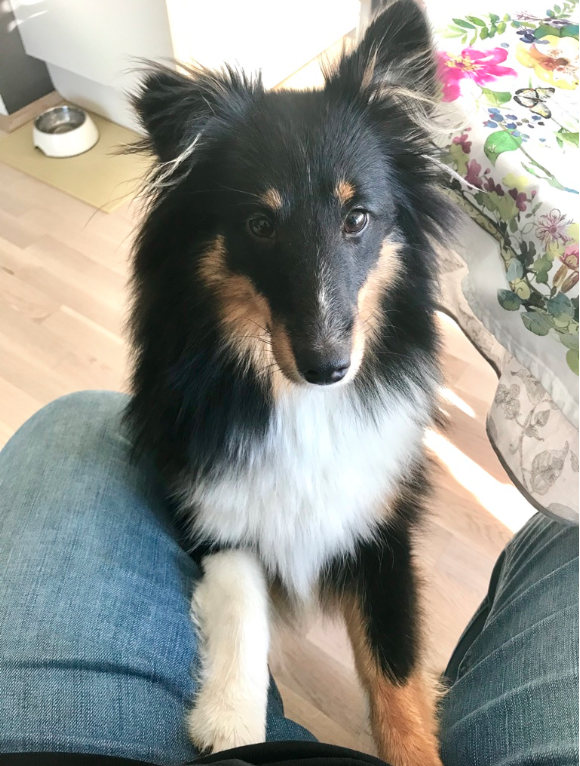 Lucy