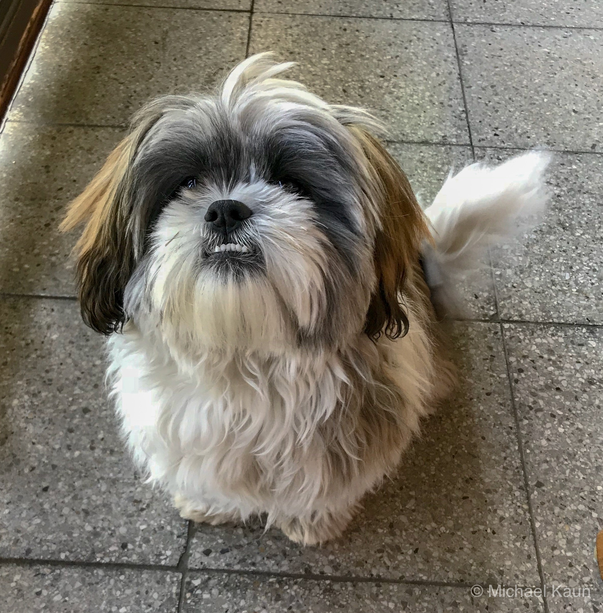 Charly