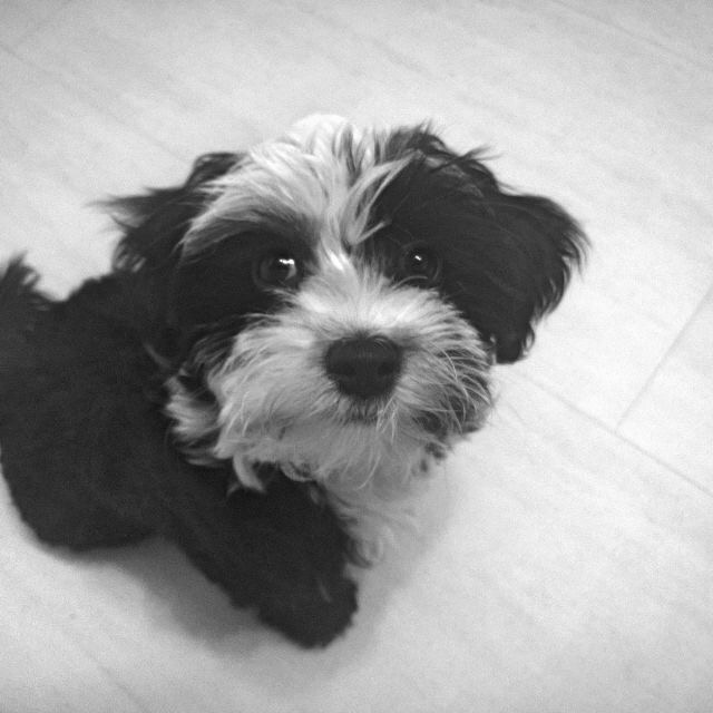 Lucy