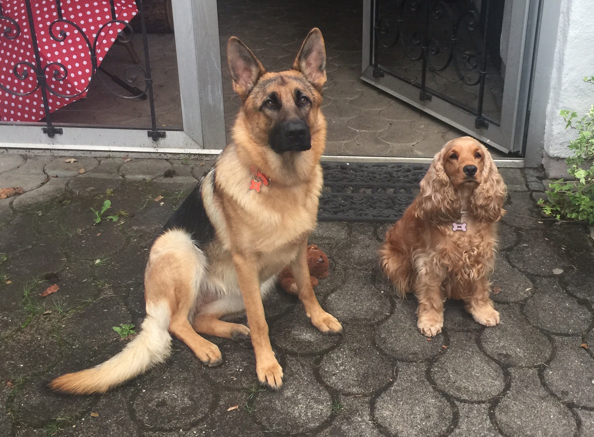 Kira & Pucket