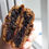 Thumbnail: Sweet Cheatz (Toa Payoh)