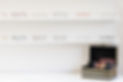 Firma Mott 10 2020 - 011.jpg