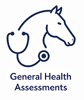 General Health Assessments.png