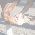 P5260292_edited.jpg