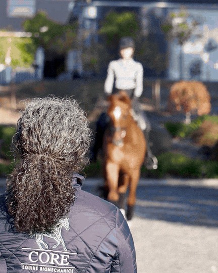 Pre-Purchase Examination in the Horse, Looking Beyond “Pass or Fail”