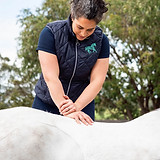 equine vet chiropractor palpating horses back