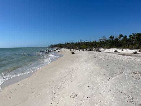 16. Marco Island, Florida
