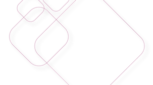 ZRM Brand Graphic