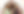Untitled design (75).png