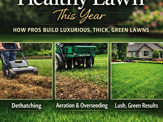 The Secret to a Healthy Lawn This Year (That Most Homeowners Miss)